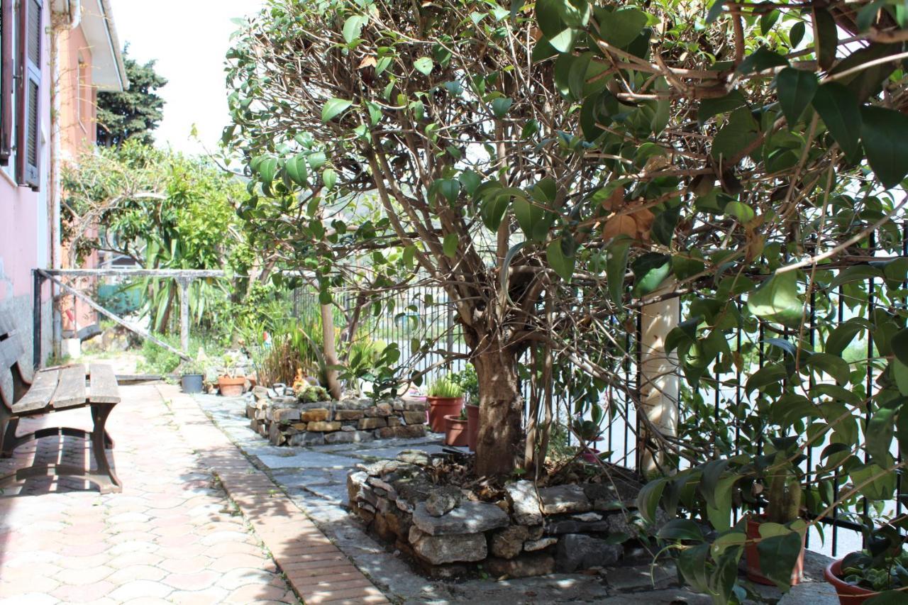 Villa Froggy House San Lorenzo al Mare Exterior foto